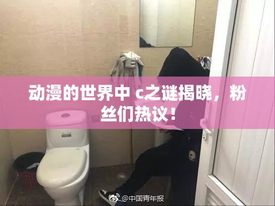 动漫的世界中 c之谜揭晓，粉丝们热议！