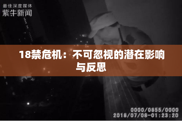 18禁危机：不可忽视的潜在影响与反思