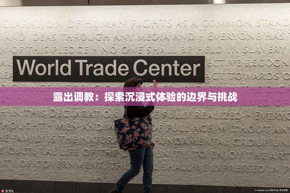 露出调教：探索沉浸式体验的边界与挑战
