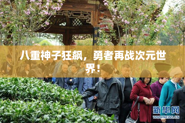 八重神子狂飙，勇者再战次元世界！