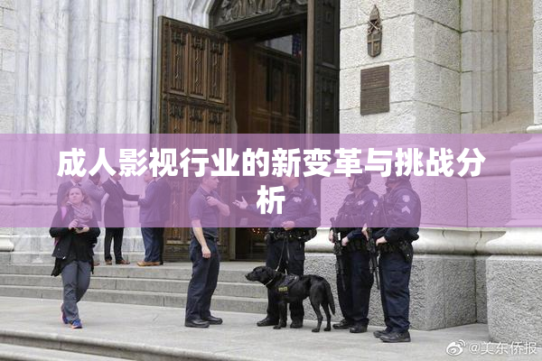 成人影视行业的新变革与挑战分析