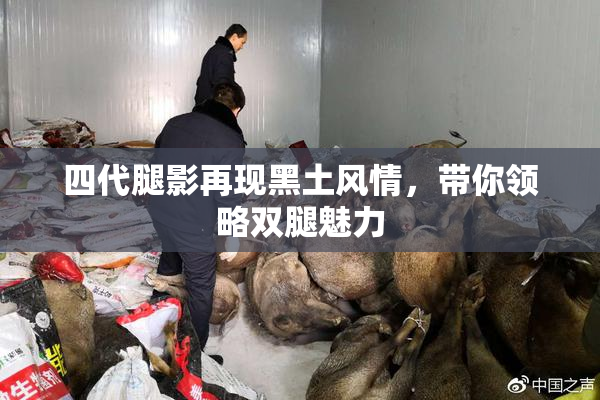 四代腿影再现黑土风情，带你领略双腿魅力