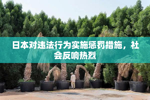日本对违法行为实施惩罚措施，社会反响热烈