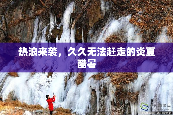 热浪来袭，久久无法赶走的炎夏酷暑
