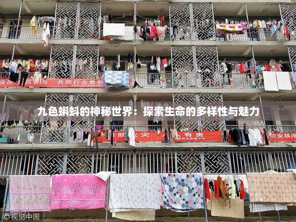 九色蝌蚪的神秘世界：探索生命的多样性与魅力