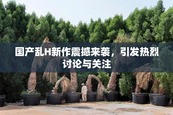 国产乱H新作震撼来袭，引发热烈讨论与关注