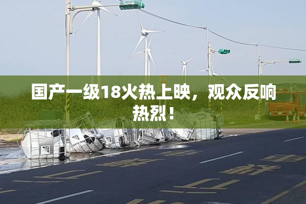 国产一级18火热上映，观众反响热烈！
