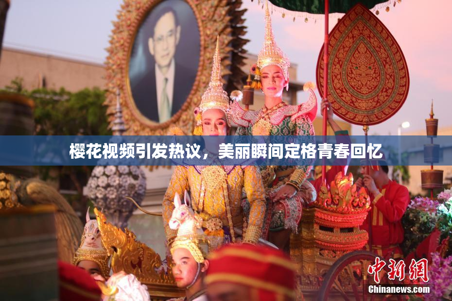 樱花视频引发热议，美丽瞬间定格青春回忆