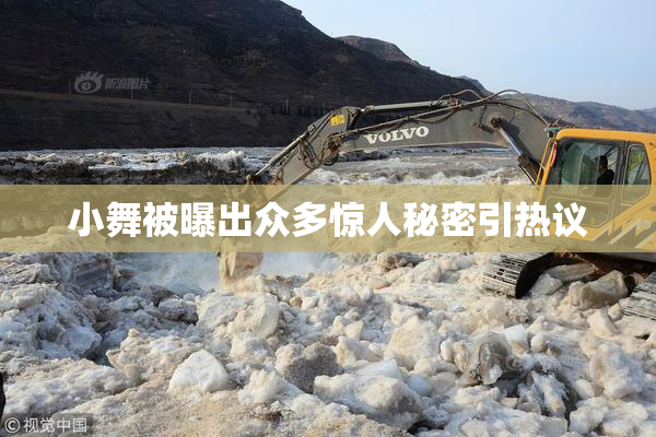 小舞被曝出众多惊人秘密引热议
