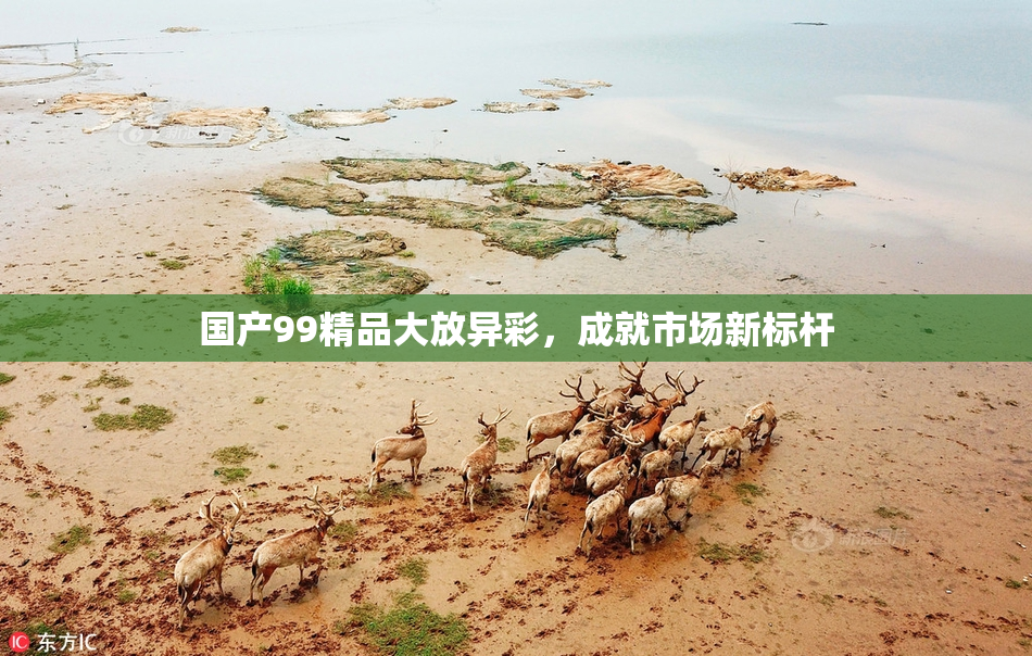 国产99精品大放异彩，成就市场新标杆
