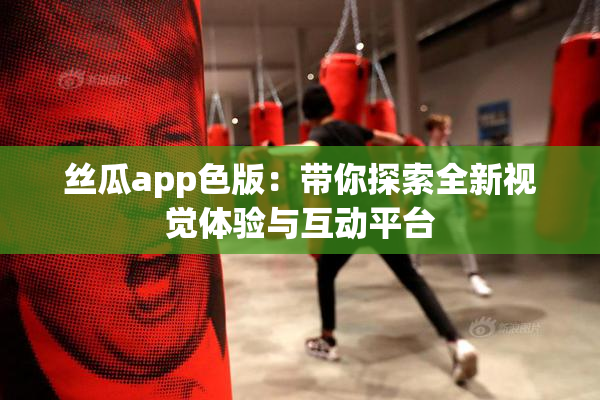 丝瓜app色版：带你探索全新视觉体验与互动平台