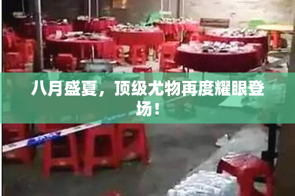八月盛夏，顶级尤物再度耀眼登场！