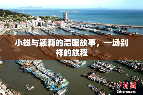 小雄与颖莉的温暖故事，一场别样的旅程
