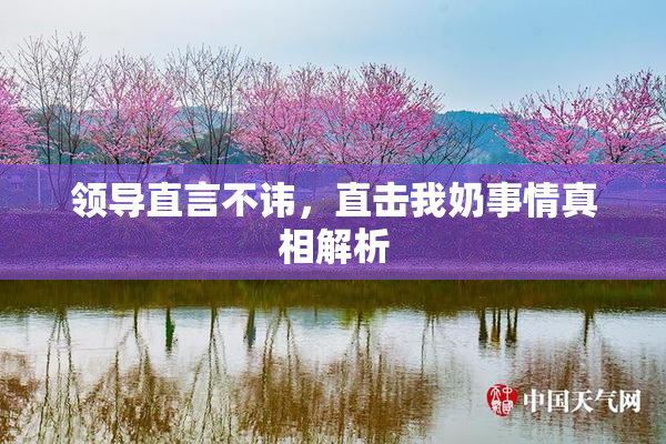 领导直言不讳，直击我奶事情真相解析