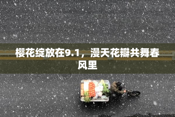 樱花绽放在9.1，漫天花瓣共舞春风里