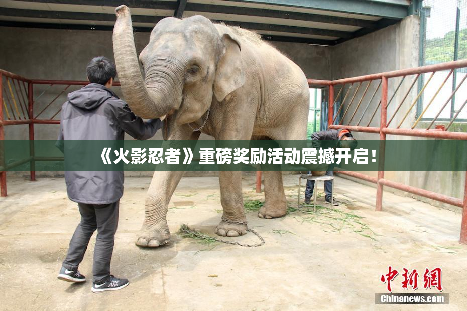 《火影忍者》重磅奖励活动震撼开启！