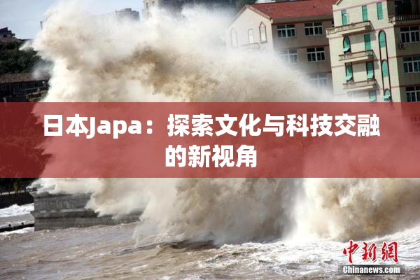 日本Japa：探索文化与科技交融的新视角