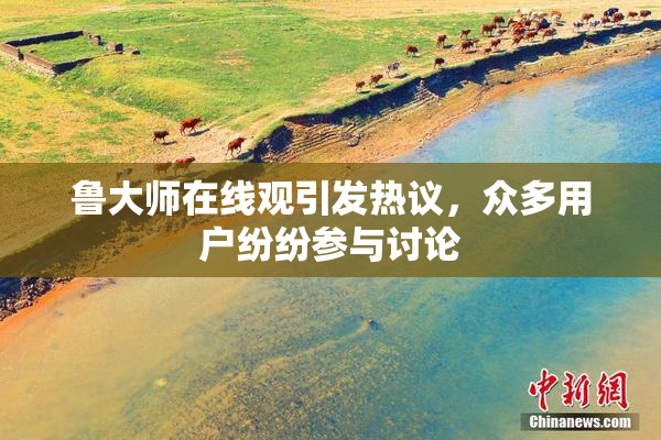 鲁大师在线观引发热议，众多用户纷纷参与讨论