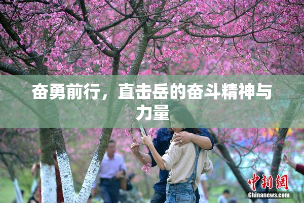 奋勇前行，直击岳的奋斗精神与力量