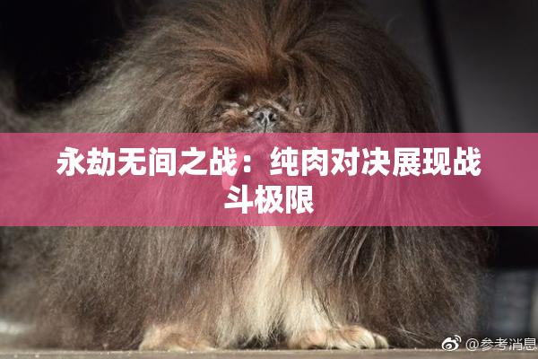永劫无间之战：纯肉对决展现战斗极限