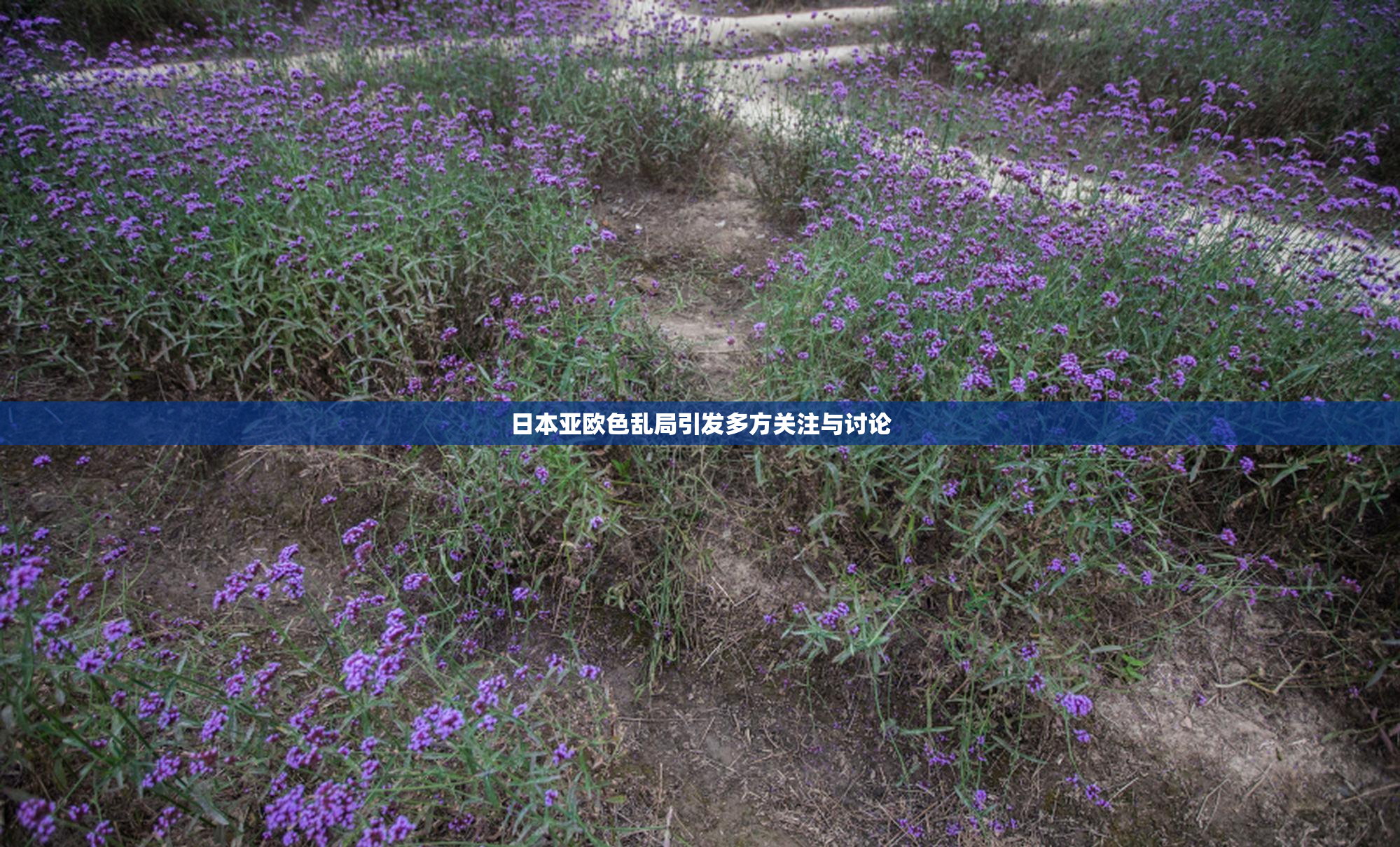 日本亚欧色乱局引发多方关注与讨论