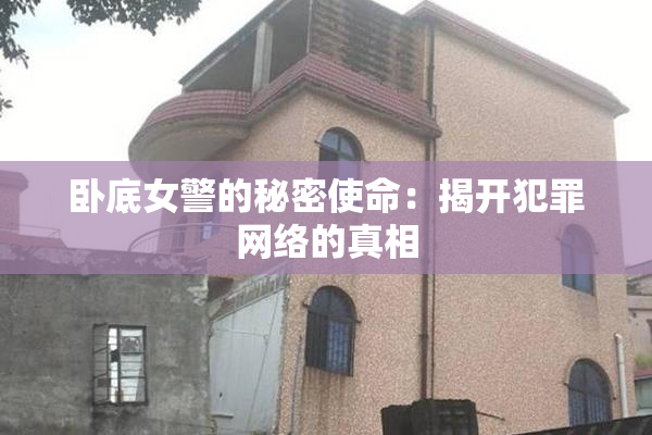 卧底女警的秘密使命：揭开犯罪网络的真相