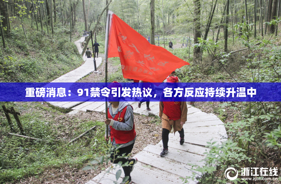 重磅消息：91禁令引发热议，各方反应持续升温中
