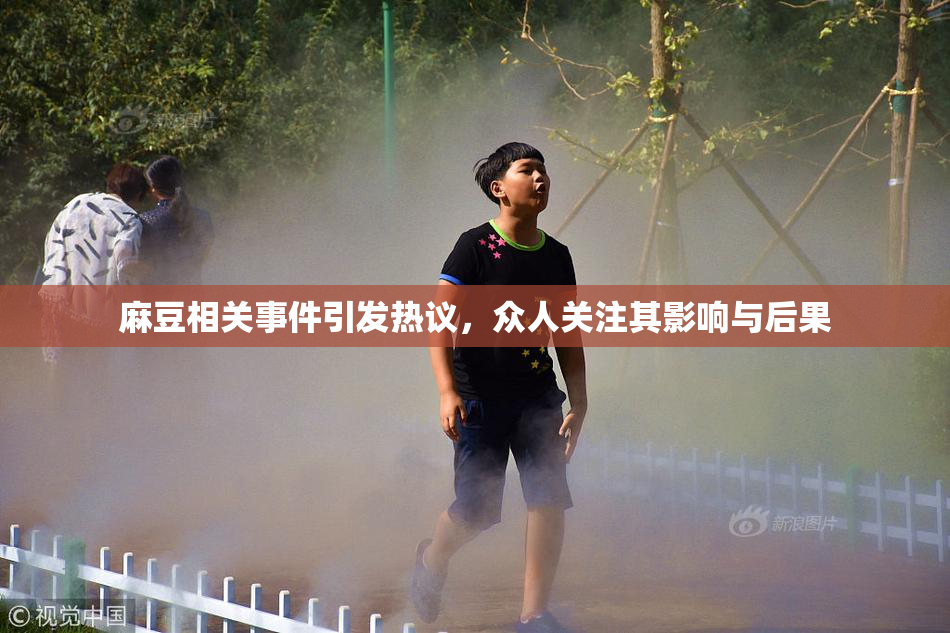 麻豆相关事件引发热议，众人关注其影响与后果