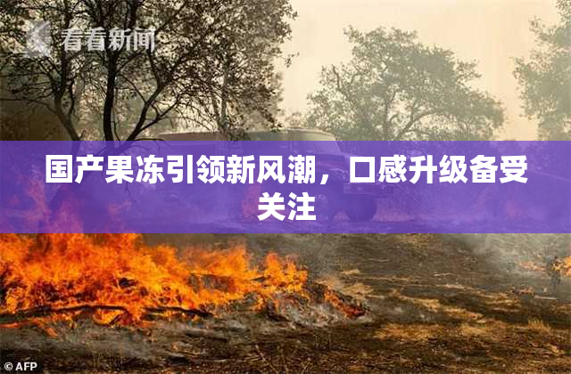 国产果冻引领新风潮，口感升级备受关注