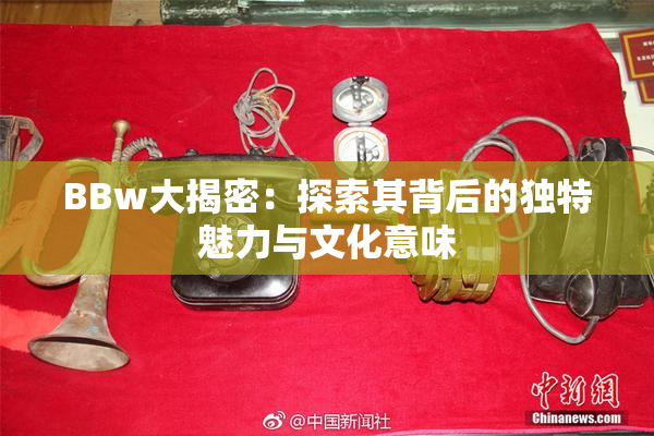 BBw大揭密：探索其背后的独特魅力与文化意味