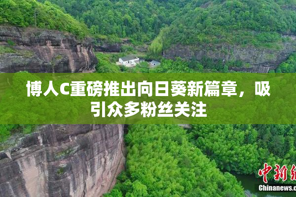 博人C重磅推出向日葵新篇章，吸引众多粉丝关注