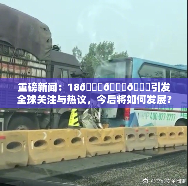 重磅新闻：18🔞🍆🍑引发全球关注与热议，今后将如何发展？