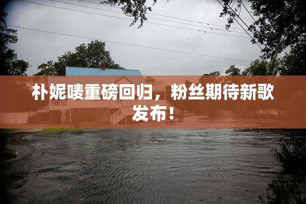 朴妮唛重磅回归，粉丝期待新歌发布！