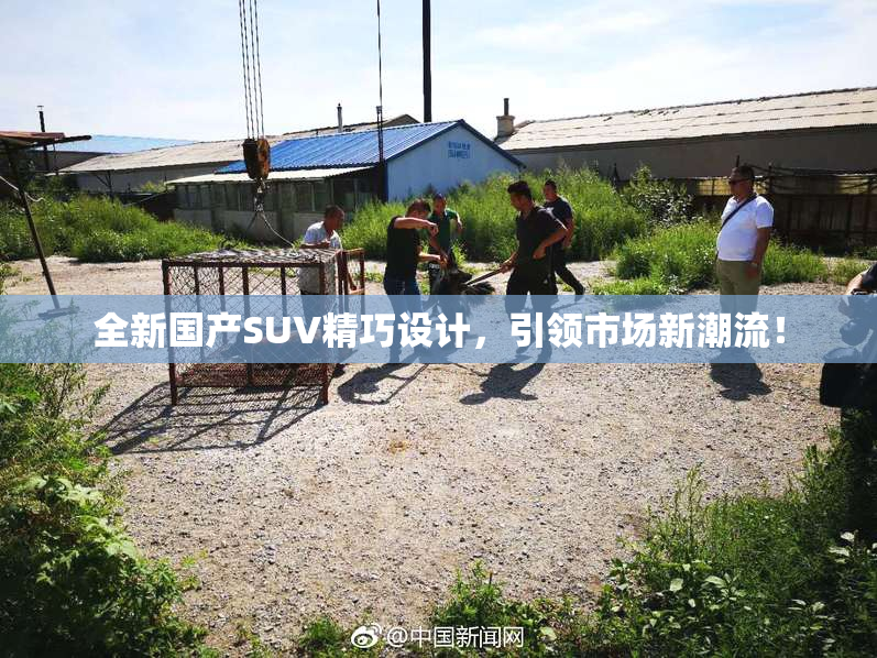 全新国产SUV精巧设计，引领市场新潮流！