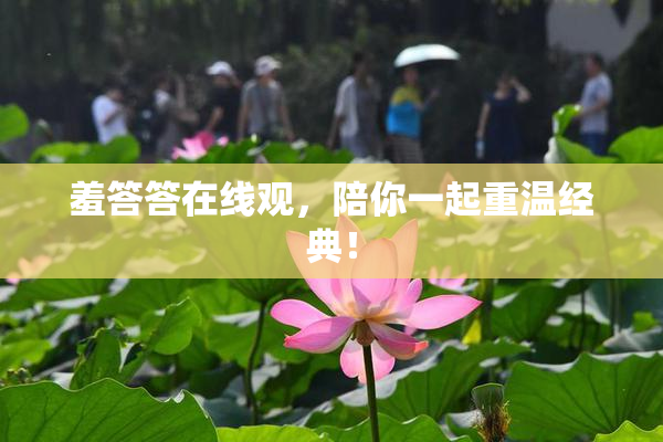 羞答答在线观，陪你一起重温经典！