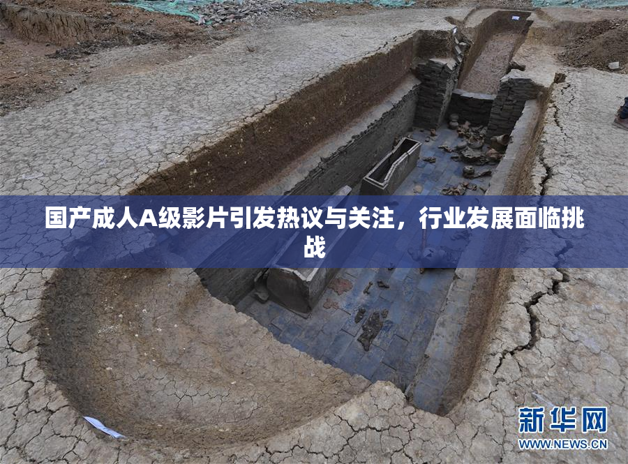 国产成人A级影片引发热议与关注，行业发展面临挑战