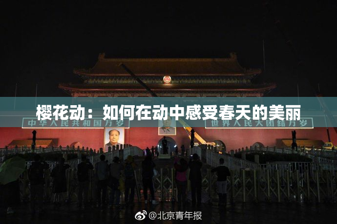 樱花动：如何在动中感受春天的美丽