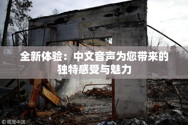 全新体验：中文音声为您带来的独特感受与魅力