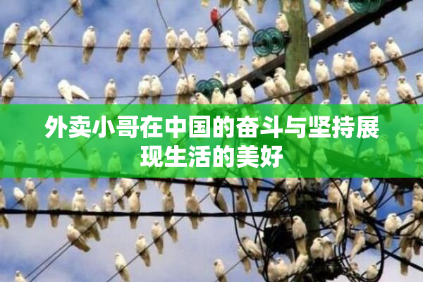 外卖小哥在中国的奋斗与坚持展现生活的美好