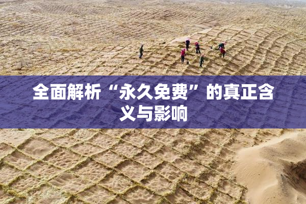 全面解析“永久免费”的真正含义与影响