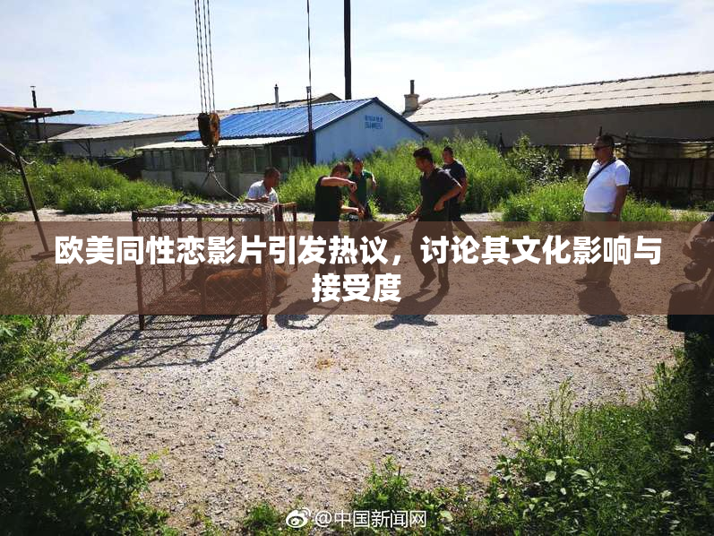 欧美同性恋影片引发热议，讨论其文化影响与接受度