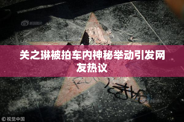 关之琳被拍车内神秘举动引发网友热议