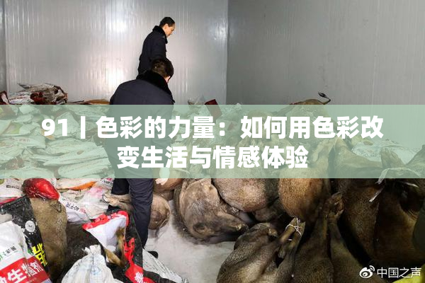 91丨色彩的力量：如何用色彩改变生活与情感体验
