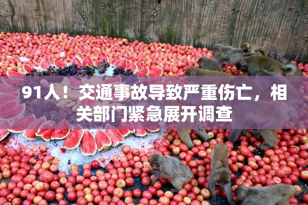 91人！交通事故导致严重伤亡，相关部门紧急展开调查