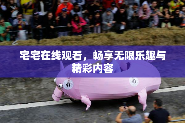 宅宅在线观看，畅享无限乐趣与精彩内容