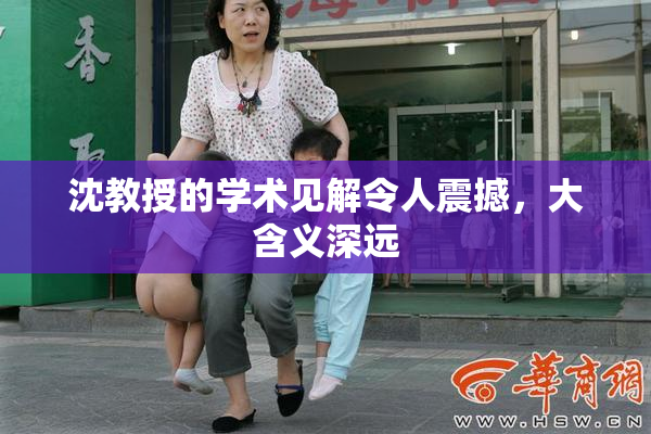 沈教授的学术见解令人震撼，大含义深远