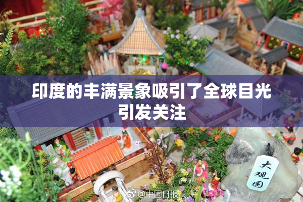 印度的丰满景象吸引了全球目光引发关注