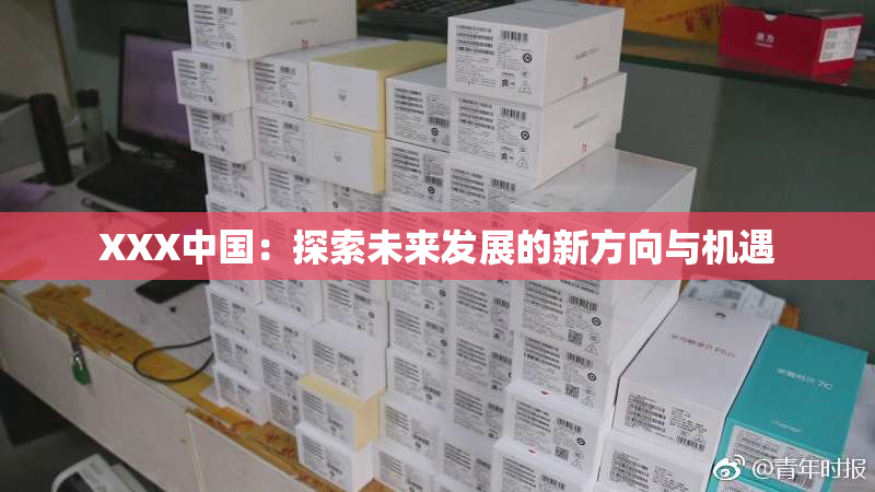 XXX中国：探索未来发展的新方向与机遇