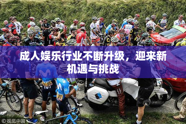 成人娱乐行业不断升级，迎来新机遇与挑战