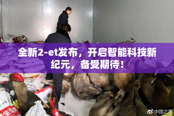 全新2-et发布，开启智能科技新纪元，备受期待！